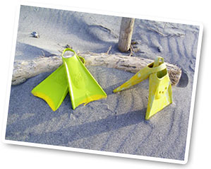 KPALOA(�J�p���A)